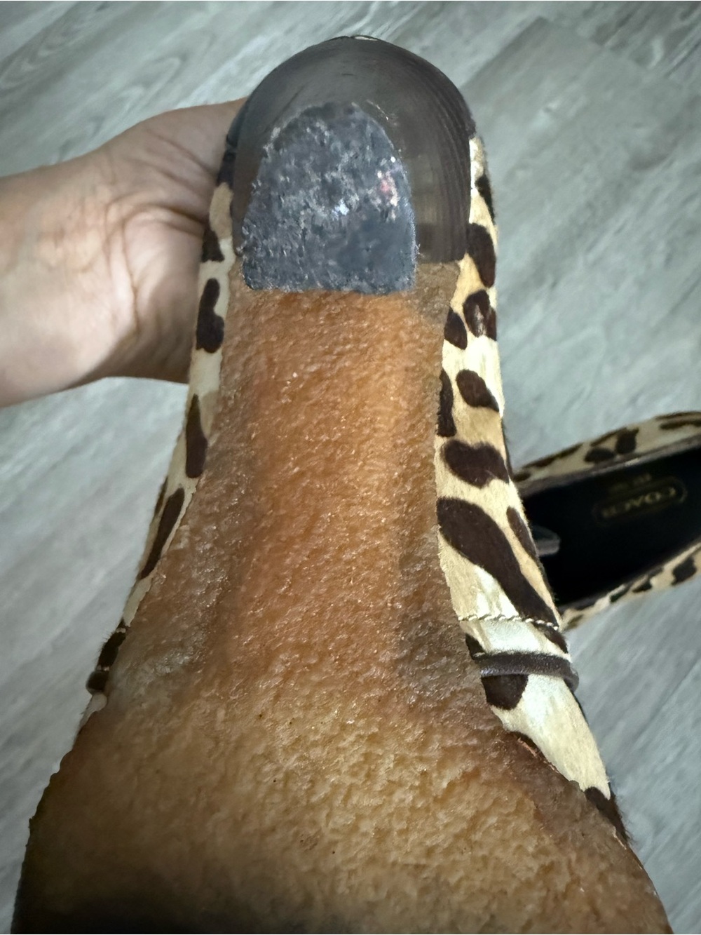 Coach Tullah Calf Hair Leopard Print Lace Up Heeled Booties Tread Sz 9.5 $248 - Picture 7 of 10